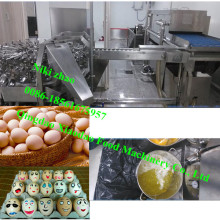 Séparateur d&#39;oeufs pour la machine de fabrication et de séparation des oeufs Factory / Egg Breaking